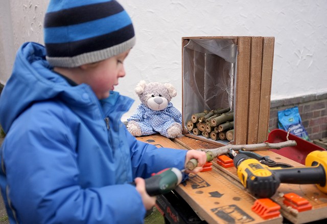 BillyBear-bumblebee2